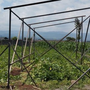 Borehole Solarization in Gatundu by MySolar Kenya. Solar Panels for a Borehole in Kenya